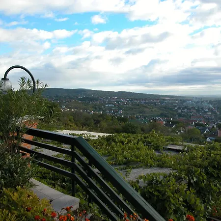 Bagolyvár