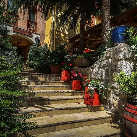 Bed and Breakfast Bagolyvar Panzio Πετς