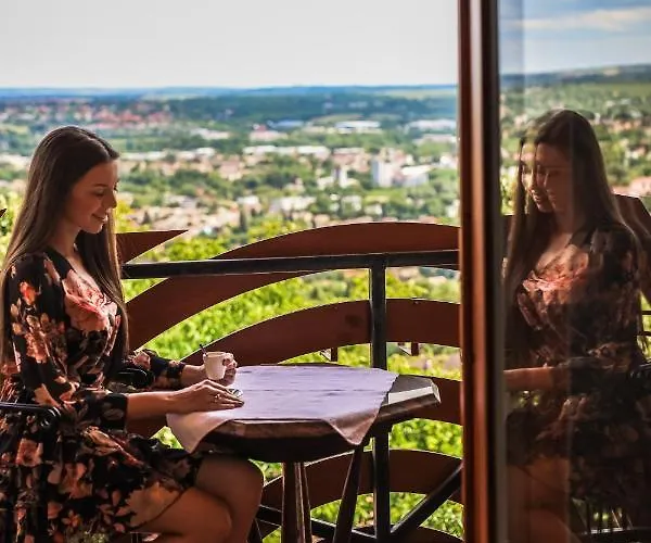 Bagolyvar Panzio 住宿加早餐酒店